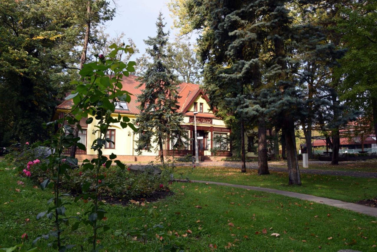 Villa Hotel 4*