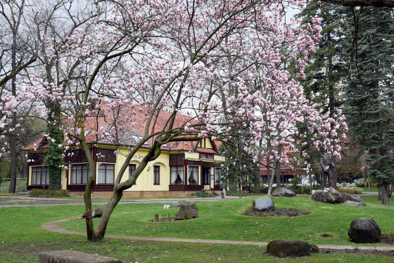 Villa Hotel 4* Debrecen