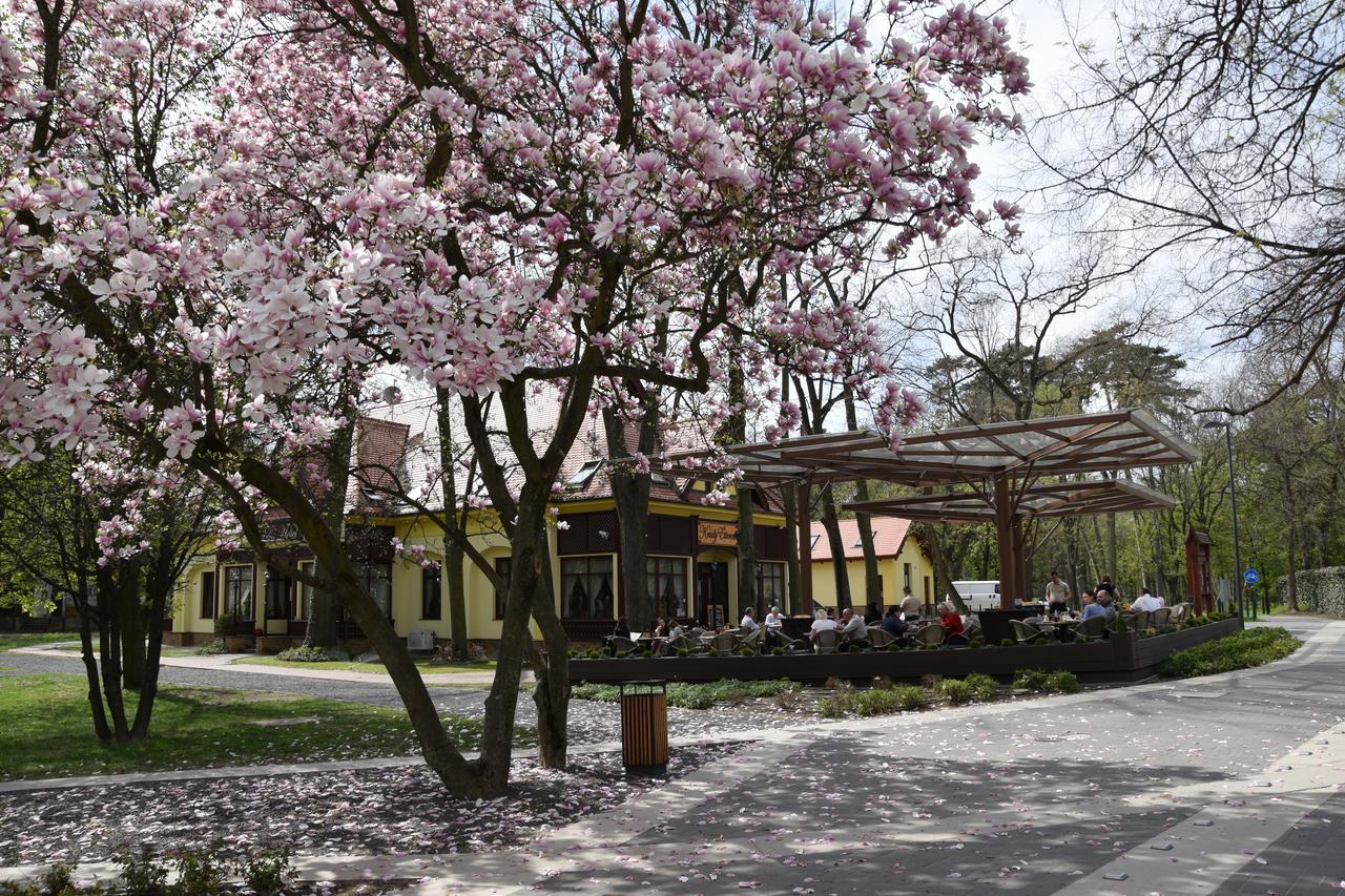 Villa Hotel 4*